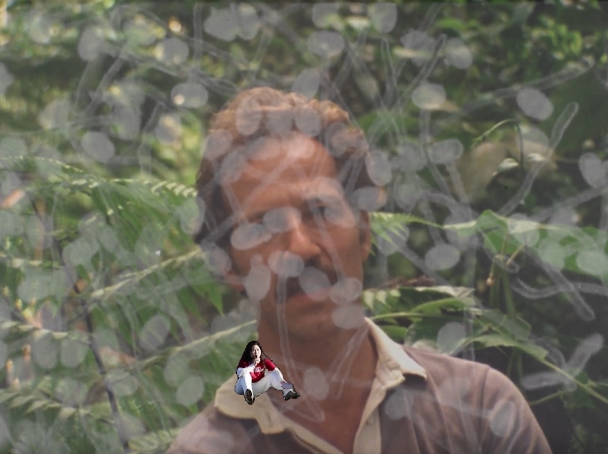 Additional still from “fruit”